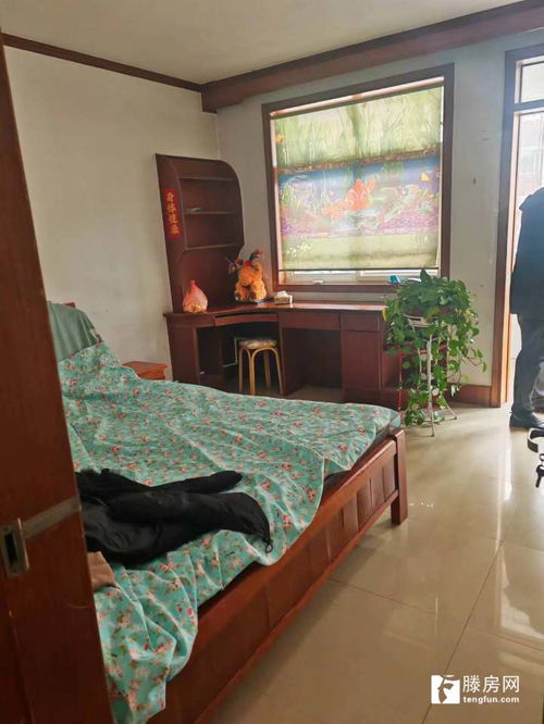 春秋閣東區優質房源 塔寺街路東精裝三居，證滿五年，看房便捷