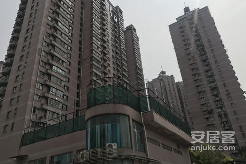 新中苑生活大師 居住體驗深度解析與周邊房產中介服務觀察